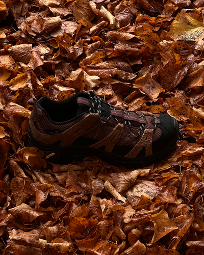 Moab 2 Siren X Gramicci - Dark Earth