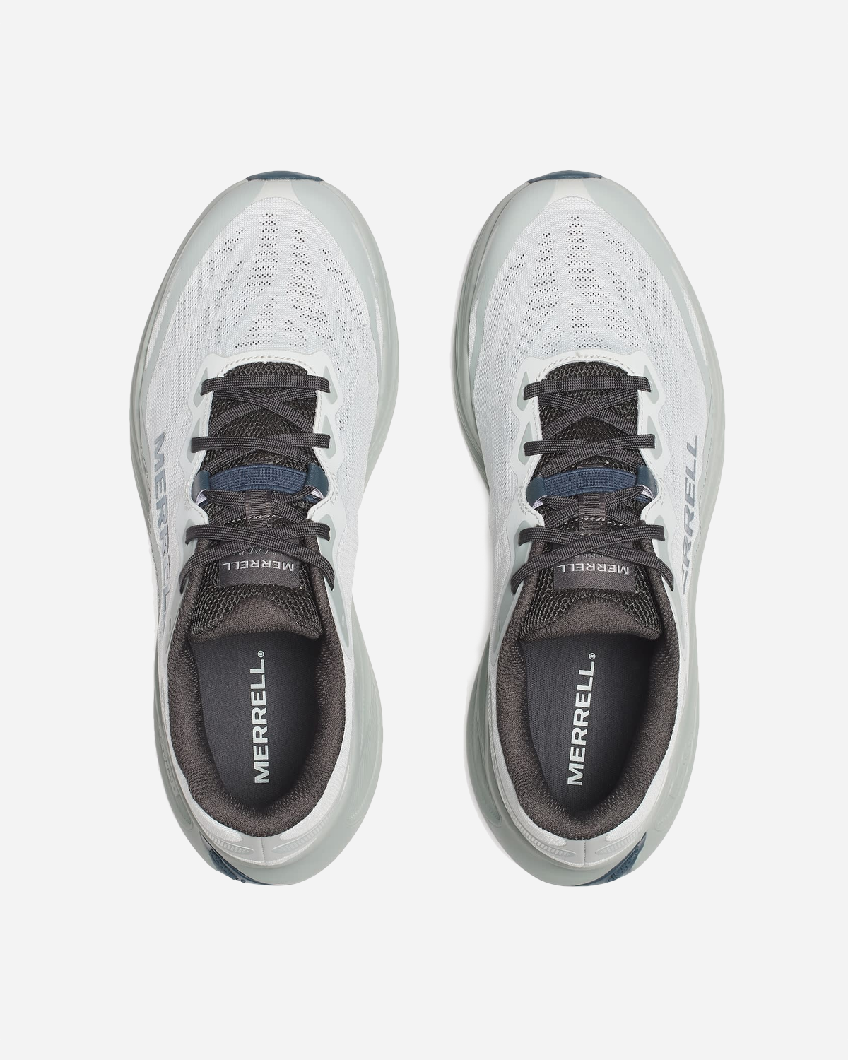 Men's Promorph - Angelite