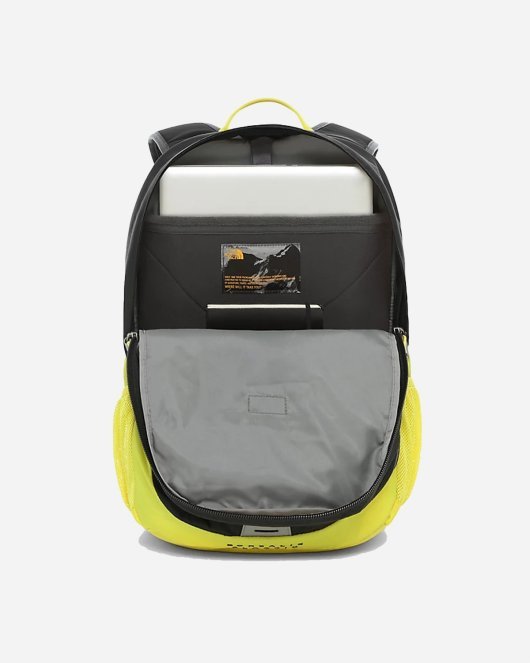 Borealis Classic Lemon - Asphalt Grey/Lemon - Munk Store