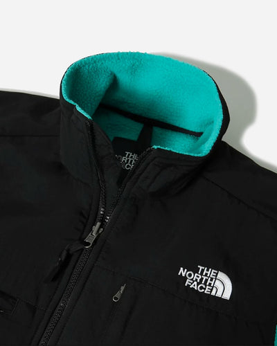 Denali 2 Fleece Jacket - Porcelain Green - Munk Store