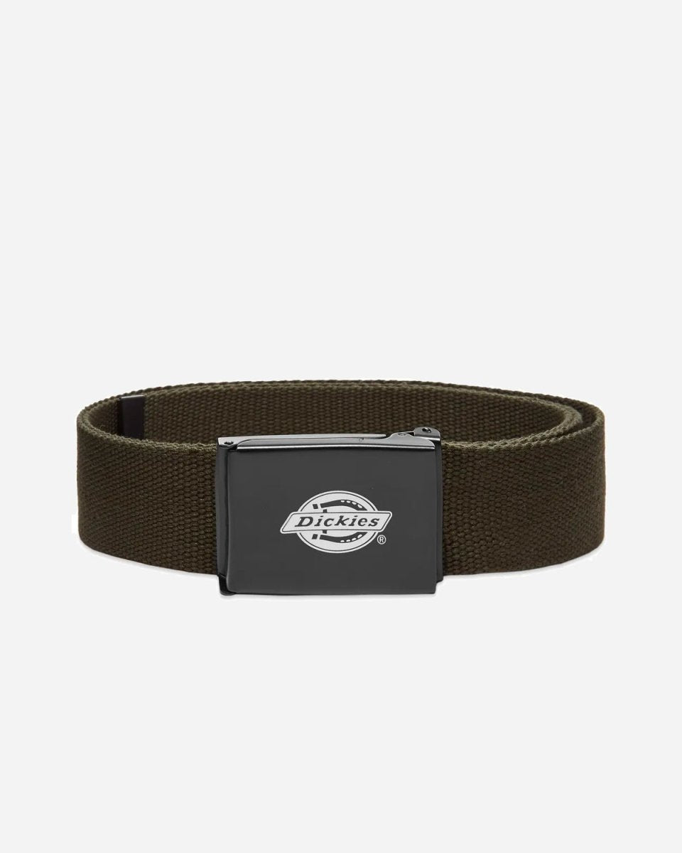 Orcutt Webbing Belt - Olive Green - Munk Store